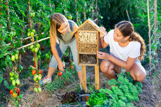 Mom and daughter spending a great time together in the garden near insect hotel