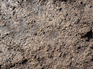 The black earth for planting plants is wet. Top view, flat lay. Texture