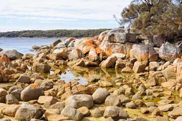 Granite boulders draped in orange lichen - Binalong Bay, Tasmania, Australia