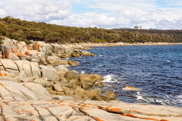 Granite boulders draped in orange lichen - Binalong Bay, Tasmania, Australia