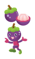 Mangosteen vector and mangosteen character