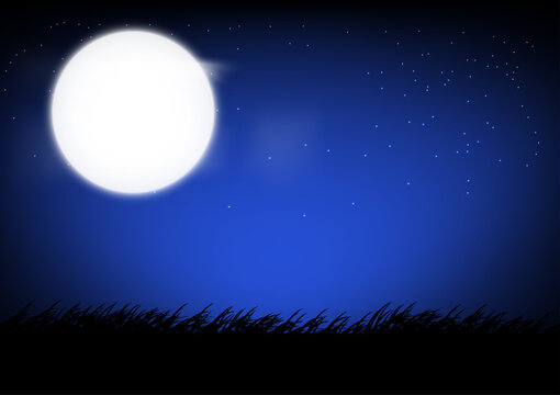 Moon on the sky and grass on the ground at night time graphics design vector illustration