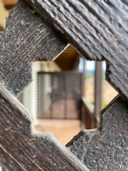 Gaze through a fence