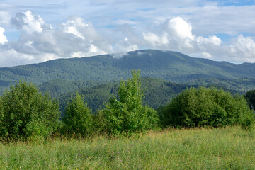 Fototapeta na wymiar mountain peaks and mountain valley with green trees
