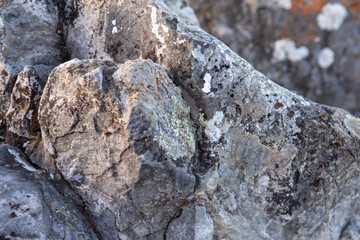 rocks in the mountains overgrown with colored lichen