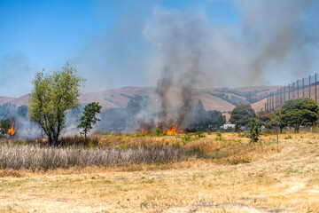 Fototapeta na wymiar Field with burning dry grass, Fremont Central Park