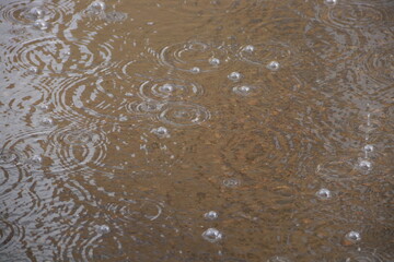 Дождевые капли