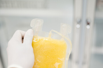 Close up scientist hand holding fresh frozen plasma bag in storage blood refrigerator at blood bank...