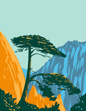 WPA poster art of a Pinus hwangshanensis or Huangshan pine on Huangshan Mountains in southern Anhui Province, Huangshan City, Eastern China done in works project administration style.