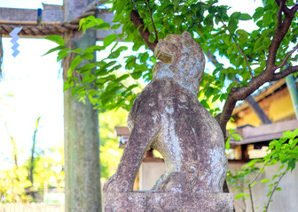 京都、車折神社の狛犬