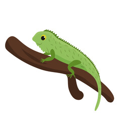 Cute funny iguana on a branch. White background. Vector image in cartoon flat style. 