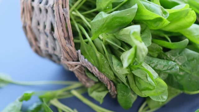 Fresh spinach with rotating on black background. Close up video. top view. Slow motion video. stock footage.