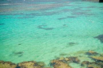 クオッカで有名なオーストラリア・パースのロットネスト島を観光している風景 A view of sightseeing on Rottnest Island in Perth, Australia, famous for its quokka.