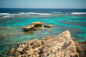 クオッカで有名なオーストラリア・パースのロットネスト島を観光している風景 A view of sightseeing on Rottnest Island in Perth, Australia, famous for its quokka.