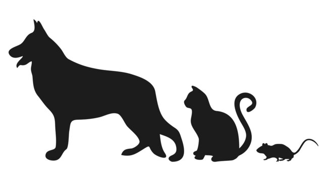 Pets. A dog, a cat and a rat. Silhouettes of pets. Vector illustration isolated on a white background for design and web.