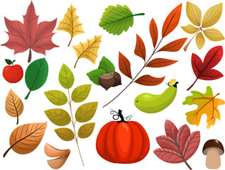 Collection of fallen autumn leaves of different shapes and colors. Colorful leaves and autumn elements for design. Vector isolated illustration.