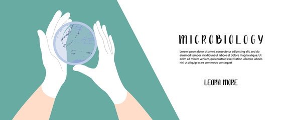 Scientist's hand in glove holding Petri dish, plate with agar, bacterial colony. Bacteriology. Microbiology. Laboratory test, bacteriological swab, chemical analysis. Vector flat cartoon illustration - 451931301