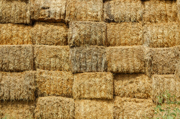 Warehouse of rectangular bales of hay. The uneven texture of a s