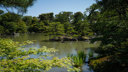 Fototapeta na wymiar Japan tourism Asia temple garden water forest