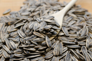 Toasted Girasol Seeds snack time