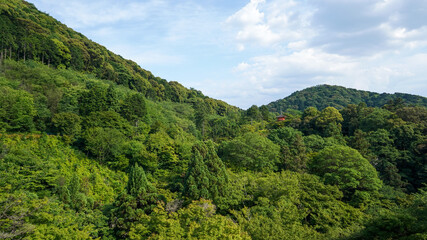 Fototapeta premium Japan tourism Asia temple garden water forest