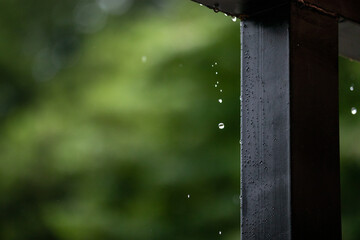 떨어지는 빗방울(raindrop)