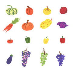Different colorful vegetables isolated on white background