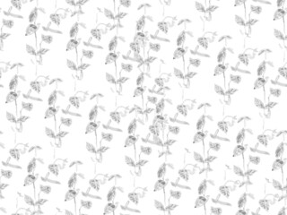 Fototapeta na wymiar Simple Tropical Clean Seamless Pattern. Monochrome and Greyscale Naive Doodle Jungle Design. Hand Drawn Hawaii Forest Illustration. Exotic Swimwear Foliage Background. Floral Creative Summer Print.