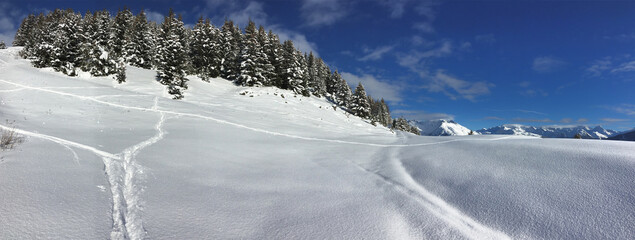 panoramic view on forest and mountain covered with fresh snow and ski tracks  in alps