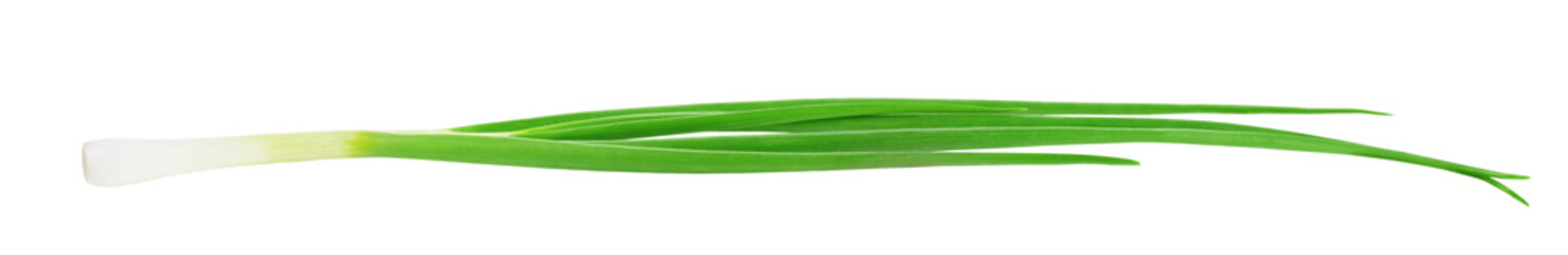 Fresh green onion isolated on white background.
