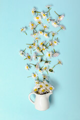 Chamomile come out of the cup on a blue pastel