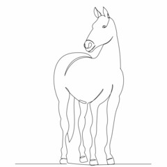 one line drawing horse sketch vector