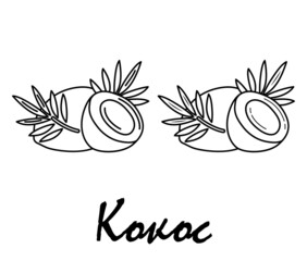 Badge coconut with the inscription 