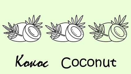 A set of coconut fruit objects with the inscription 