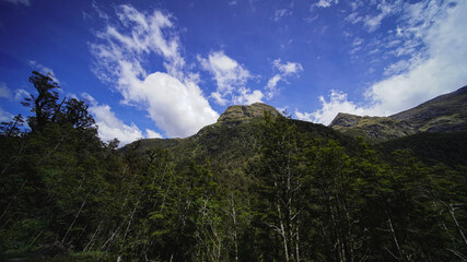 Doubtful Sound Fjordland South New Zealand