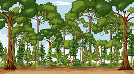 Forest landscape scene at day time with many trees