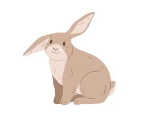 Cute gray rabbit of French lop breed. Adorable bunny sitting. Domestic animal. Coney pet with floppy ears. Colored flat vector illustration isolated on white background