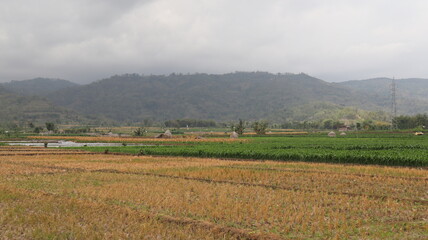 scenery in the village