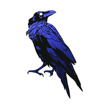recommend clip art: crow vector illustration, black horror raven