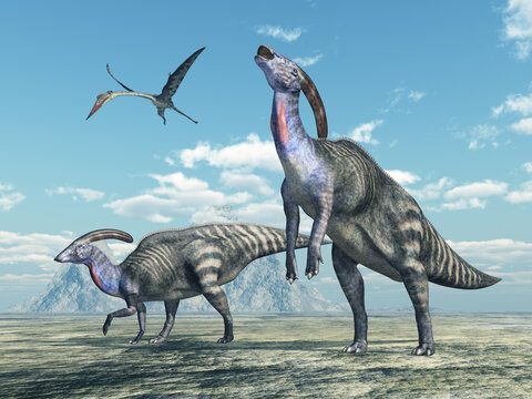 Dinossauro Bilder – Durchsuchen 102 Archivfotos, Vektorgrafiken und ...