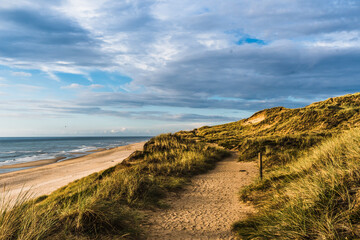 Overgrown sand dune on the german norse sea island Sylt