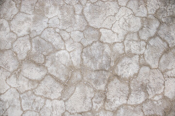 Cracked cement plastered wall as abstract background.