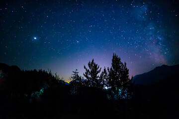 Naklejka premium starry forest night sky