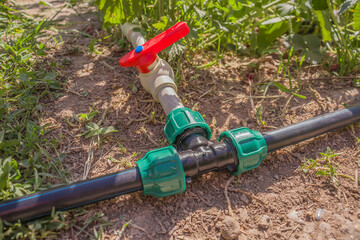 Black plastic pipes for irrigation in the country