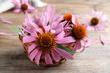 Basket with beautiful blooming echinacea flowers on wooden table, closeup - obrazy, fototapety, plakaty