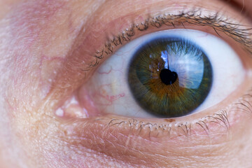 Male Eye Close-up. Macro Shooting Human Eye         