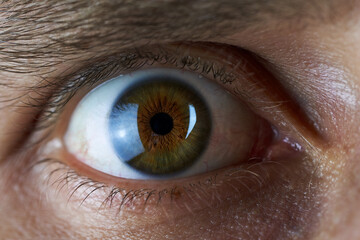 Male Eye Close-up. Macro Shooting Human Eye         