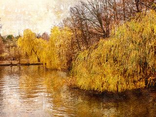 Yellow branches of the willow tree over the pond. Empty Autumn c