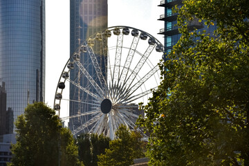Fototapeta premium ferris wheel in downtown Atlanta