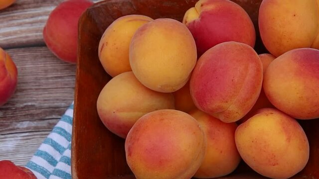 plusieurs abricots dans un plat